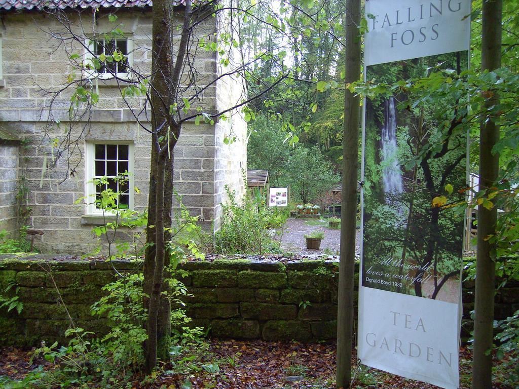 Thorpe Green House Vegetarian Bed & Breakfast Robin Hood's Bay Exterior foto