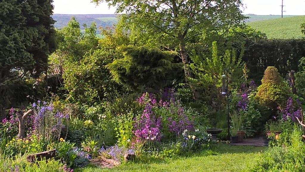 Thorpe Green House Vegetarian Bed & Breakfast Robin Hood's Bay Exterior foto